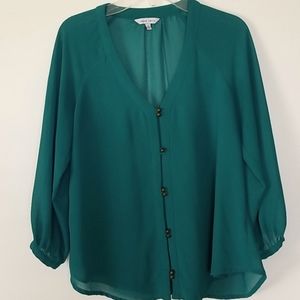 Naked Zebra sheer blouse